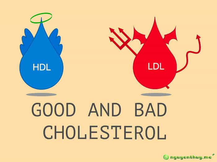 Phân biệt cholesterol xấu và tốt